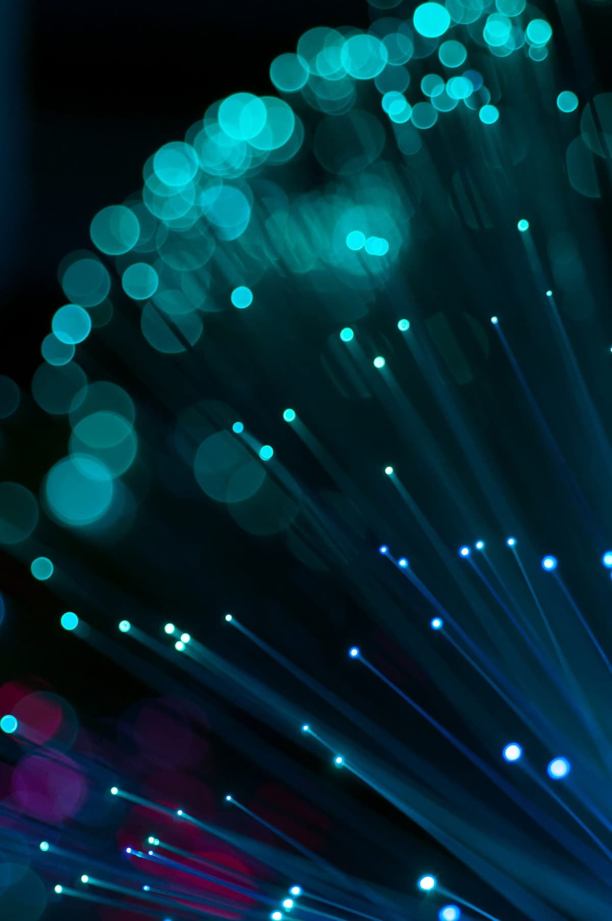 How to Choose the Right Software Development Company in 2026